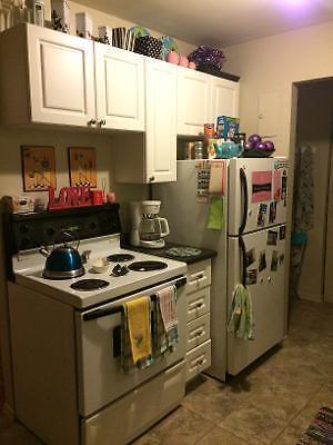 Roommate wanted :)