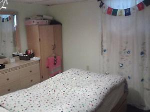 McMaster students room rental (all inclusive)