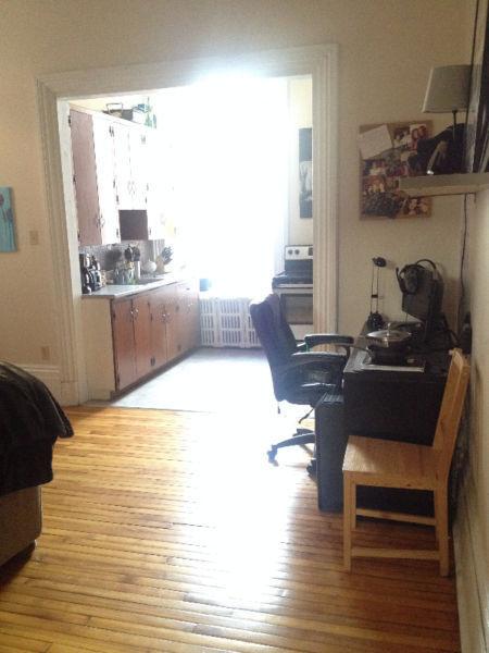 Charming Downtown 1-Bdrm Apartment Available for May 1st!