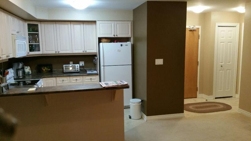 Ground Floor Condo Suite - Dairy Lane (Indoor Parking!)