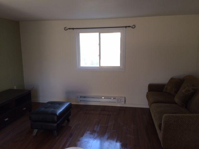 2 Bedroom Apartment for rent newly renovated/painted in downtown