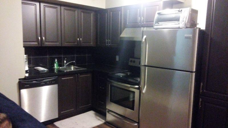 Bright spacious 2 bedroom basement apartment