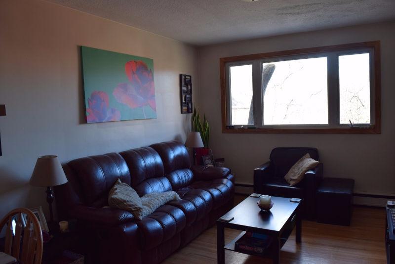 Perfect Bright Top Floor 2 Bdrm Apt in Clean Downtown Triplex