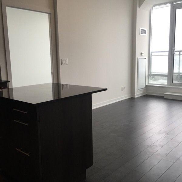 Brand New 2 Bed / 2 Bath Penthouse Condo for Rent