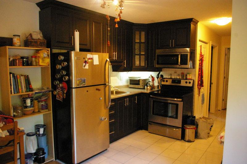 DOWNTOWN IMMACULATE UPDATED APARTMENT 2BR May 1