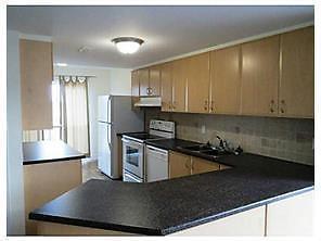 2BED TERRACE CONDO - CHAPMAN MILLS - AVAIL. MAY 01.16