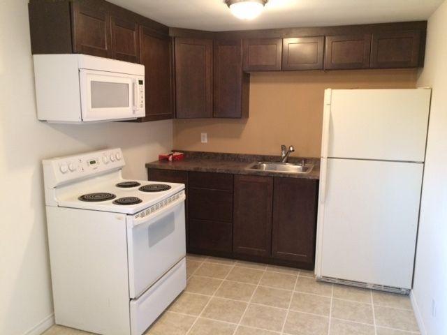 3 Bedroom apartment for rent newly renovated/painted in downtown