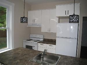 UWO/FANSHAWE: 4 BDRM MAIN UNIT IN HOUSE - $550 ALL IN - MAY 1