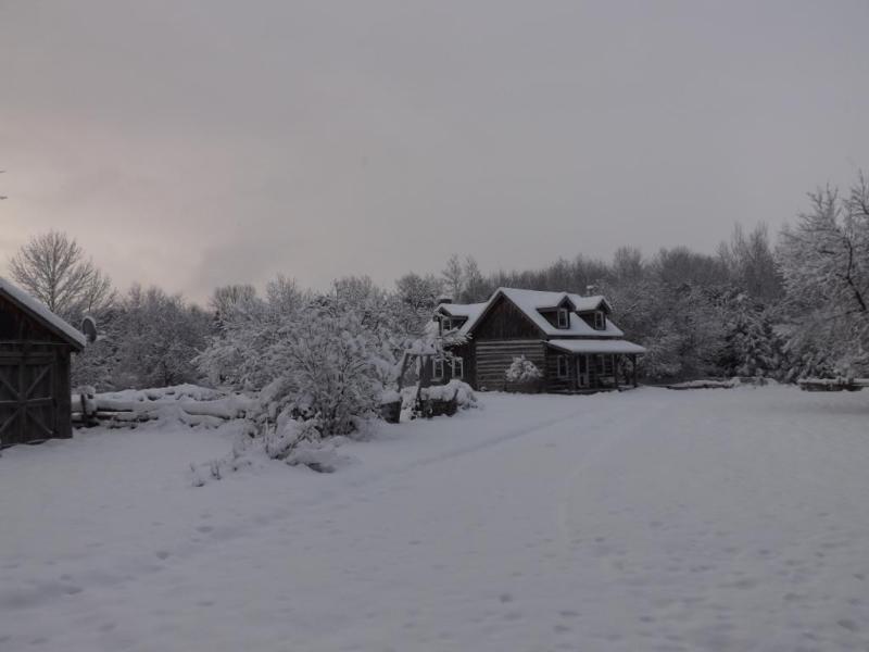 Renovated 1860's Log Cabin