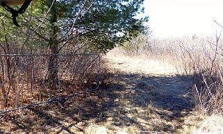Well-Priced South Frontenac Vacant Land