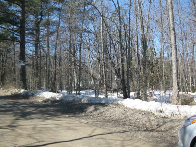 Building lot in Tatlock - Priced for quick sale