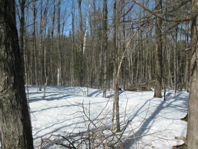 Building lot in Tatlock - Priced for quick sale