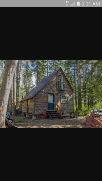 Wanted: Looking for reasonable or cheap land and cabin