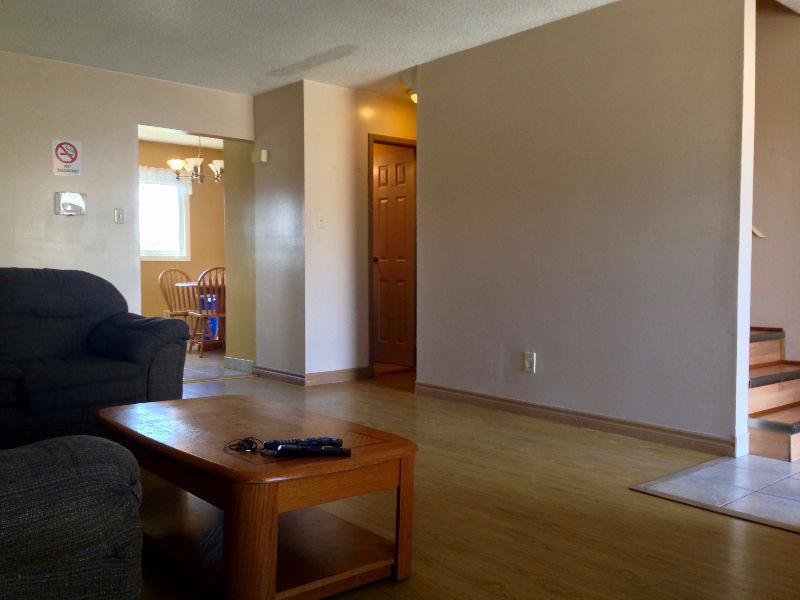FANSHAWE: SINGLE BEDROOM LEASE MAY 1 ALL IN W/WIFI+CABLE $450