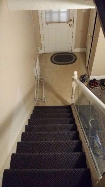 Cheap Summer Student Rental (all inclusive)