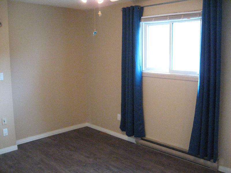 Room for Rent Close to Downtown and Trent Express Bus