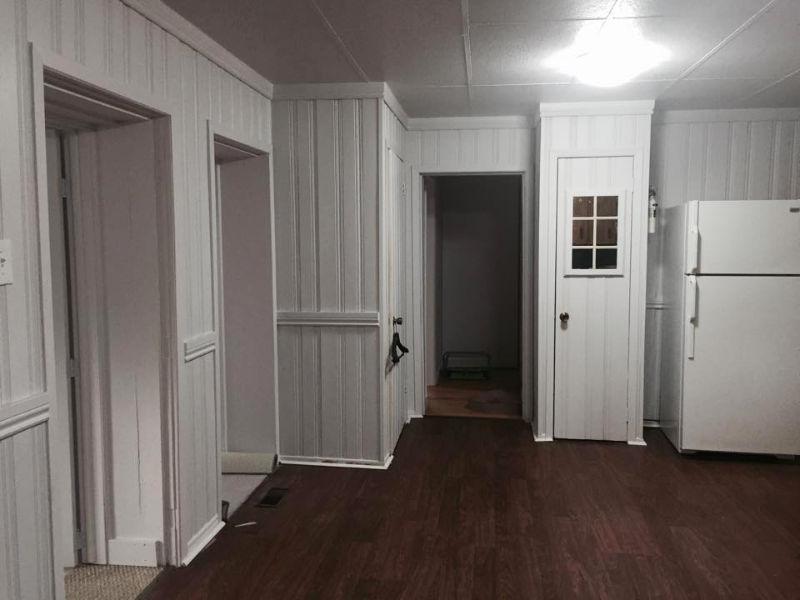Room for rent in a freshly renovated house near downtown