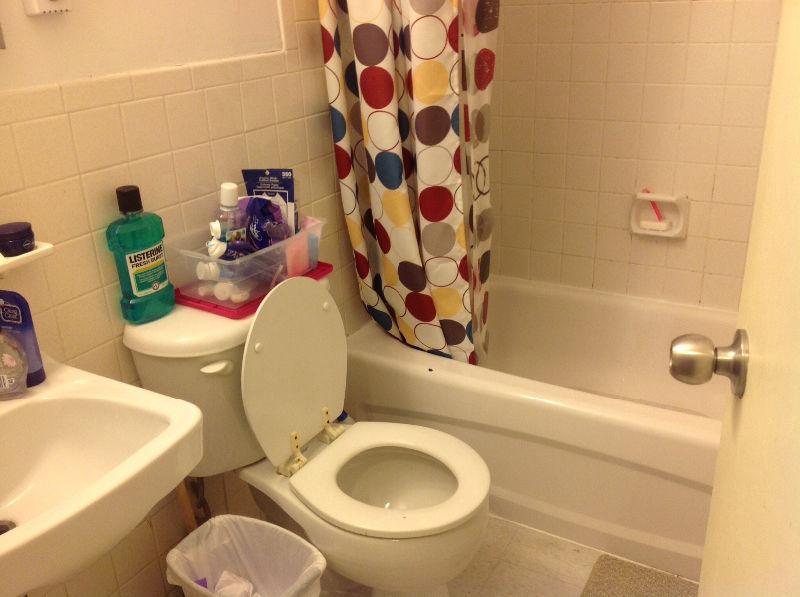 Short/long term rental from June 1