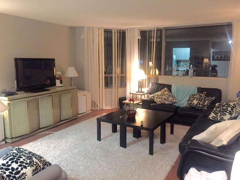 4 MONTH SUBLET - LUXURY DOWNTOWN CONDO