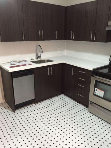 Wanted: May 1st - Newly Renovated Spacious 1 bdrm heat, water incl