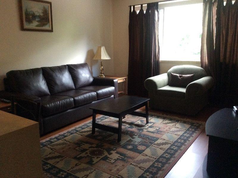 Furnished one bedroom apt, available by the month