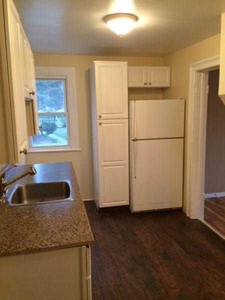 NEWLY UPDATED 1 BEDROOM UNIT IN DOWNTOWN  LOCATION