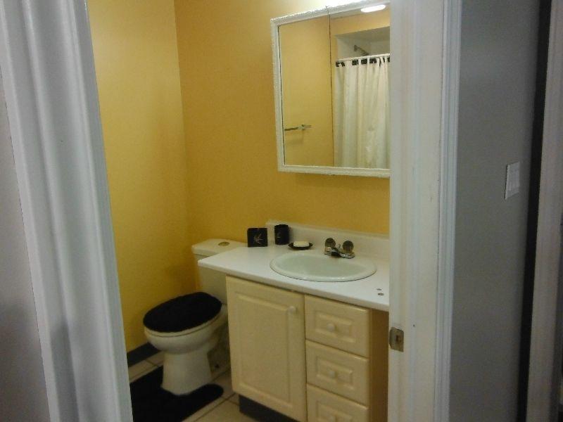 beautiful large 1 bedroom furnished apt