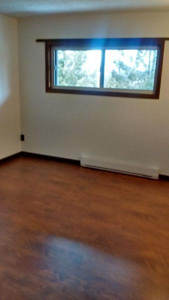 large spacious one bedroom on main floor