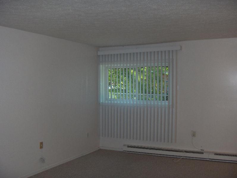 1 Bdrm Apt.Main Floor. Spacious/Clean/Bright. May 1