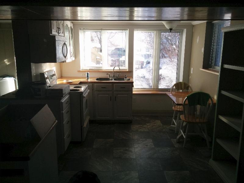 1 BR Apt for Rent - Available April 1