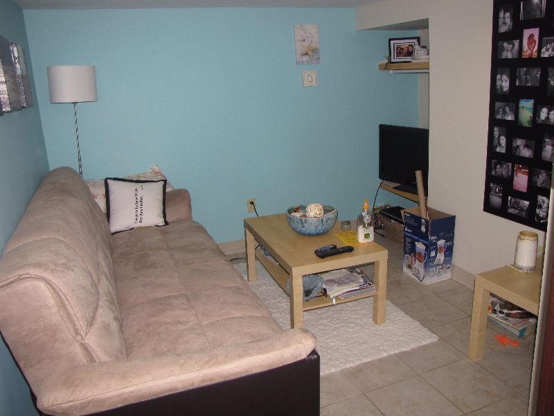 Cozy 1-bedroom basement apartment near University