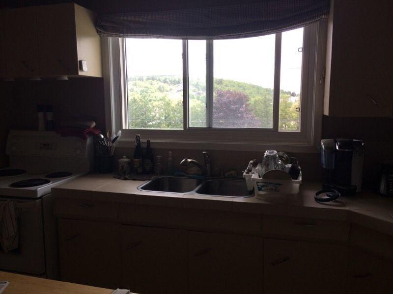 Large bright 2 bedroom avail June 15 or July 1st- South/West end