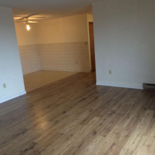 Spacious 2Bdr Apt In South End, All Inclusive