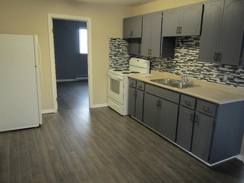 NEWLY RENOVATED 2 BEDROOM DOWNTOWN APARTMENT CLOSE TO LAW SCHOOL