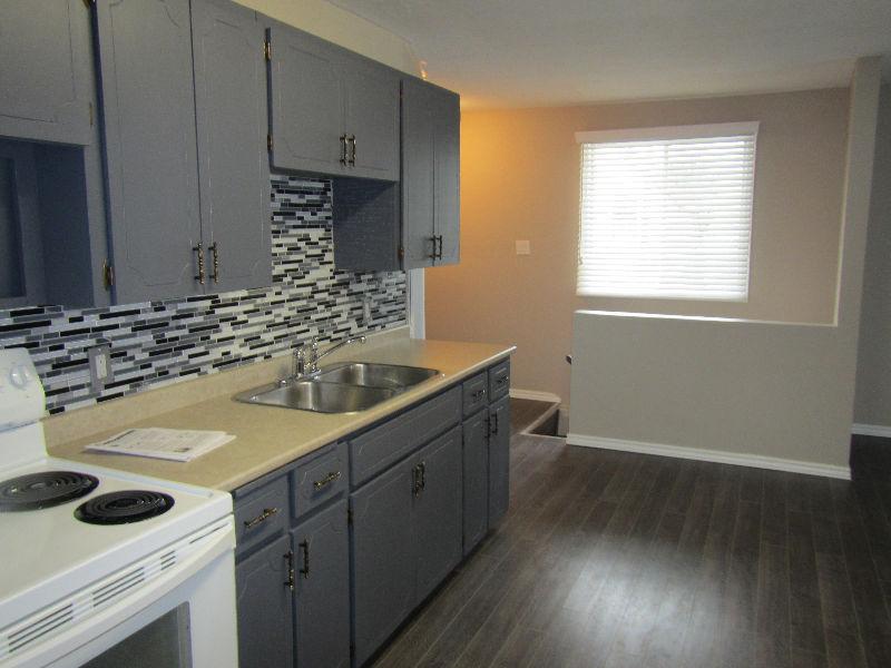NEWLY RENOVATED 2 BEDROOM DOWNTOWN APARTMENT CLOSE TO LAW SCHOOL