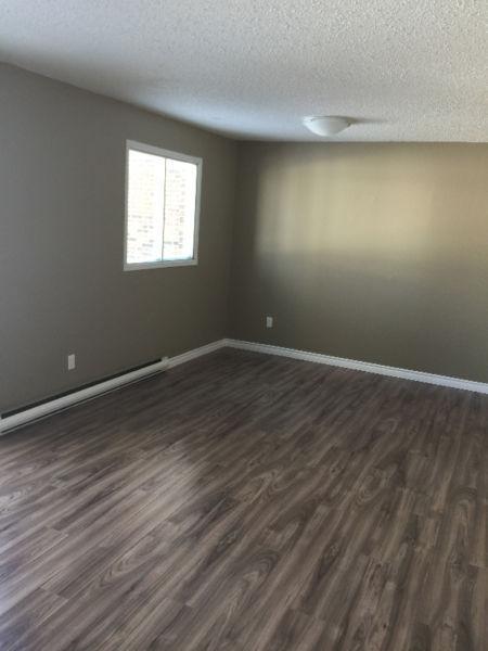 NICE AND RENOVATED 2 BEDROOM