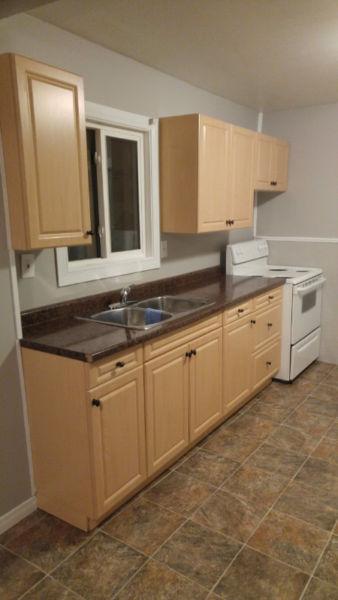 Newly Renovated 3 Bedroom Unit in Flour Mill Area