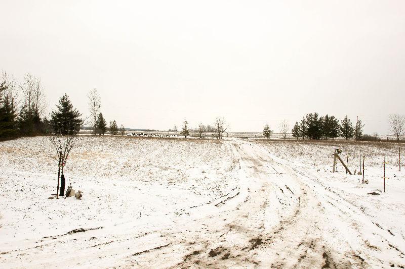 5103 First School Rd., Warwick
