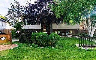 SPACIOUS, OPEN CONCEPT, NEWLY RENOVATED, 3 BEDROOM RAISED RANCH!