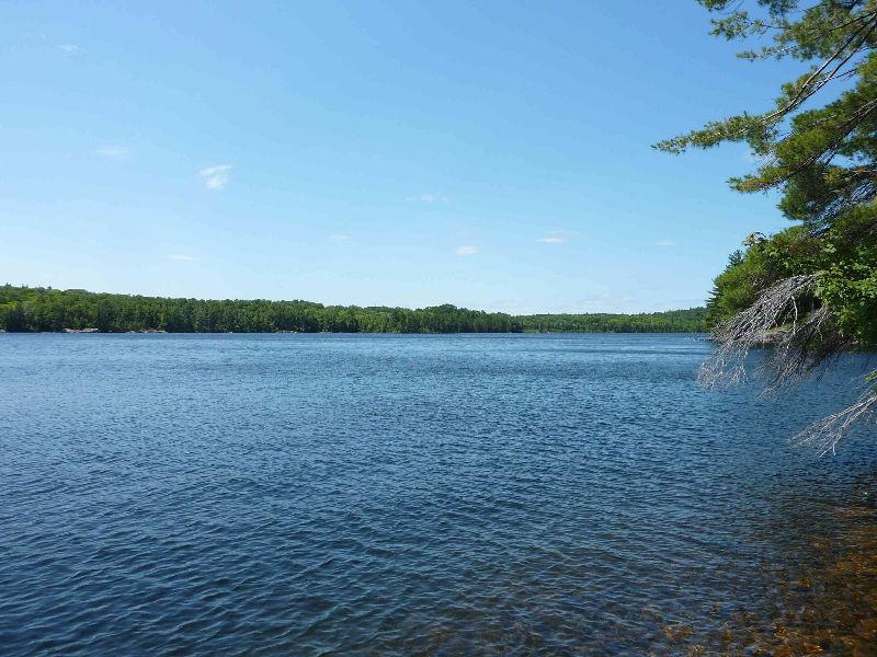 Waterfront cottage for sale, road access, Bearhead Lake