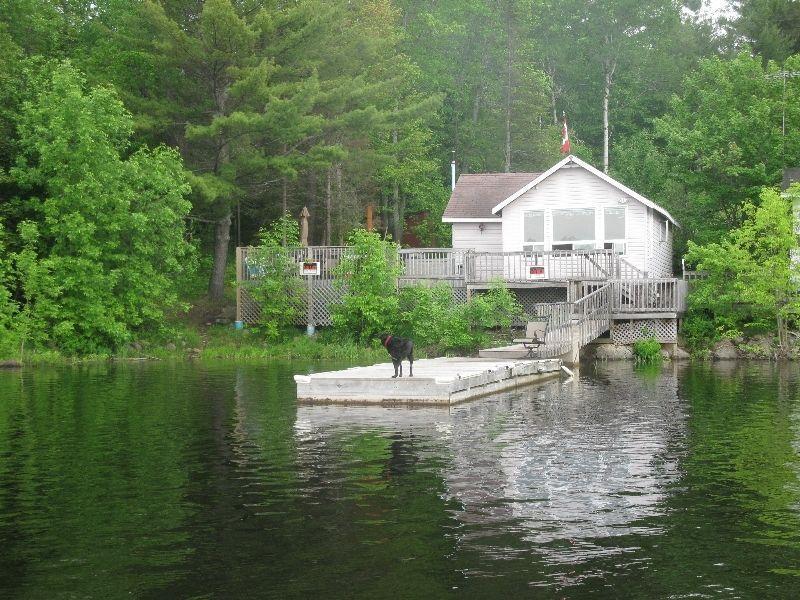 COTTAGE on FRENCH RIVER for RENT $900/wk (also for sale)