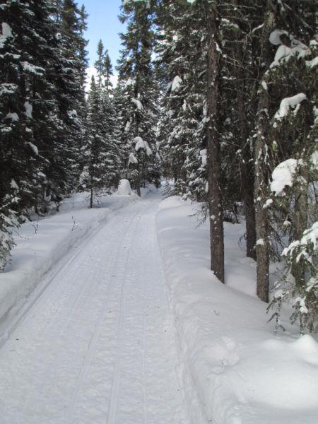 Beautiful 41 acres lot on Jaguar Drive