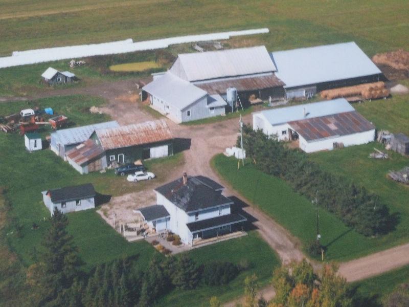 Earlton Farm Property for Sale - 80 acres