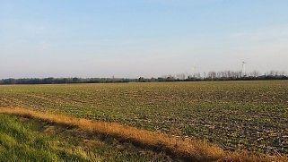 EXTREMELY RARE PPTY OVER 3 ACRES SURROUNDED BY CONSERVANCY LAND