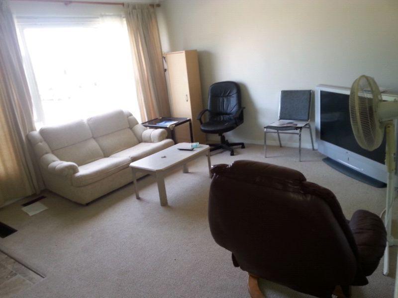 CHEAP STUDENT RENTAL