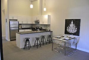 Student Loft Rental - 4 Months (Brock University)