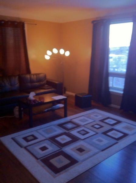Looking for roommate for beautiful 2 bd apt downtown for April