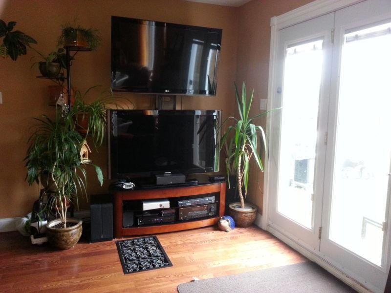 Available Immediately Room Behind Porcupine Mall