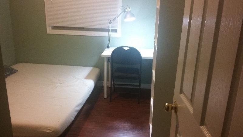 Rooms for a students, close to University, available immediately