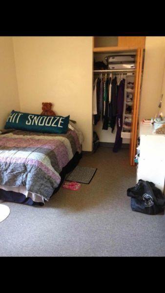 SUBLETTING APARTMENT AT CANTERBURY COLLEGE FROM MAY-AUGUST 2016